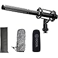 BOYA XLR Microphone, Shotgun Microphone BY-BM6060 with Shockmount Windscreen Mic for Camera DSLR External Condenser Professional Microphones for Video Interview ENG Film