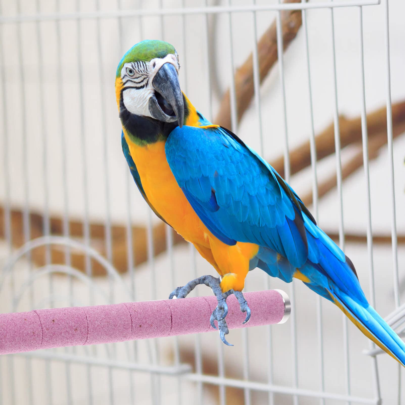 iplusmile Bird Perch Stainless Steel Stand Parrot Rod Grinding Claws Trimming Beak Nails Grinding Stick Exercise Platform for Parakeet Cockatiel Conure African Grey Macaw