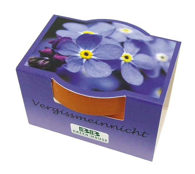 malvorlage topfgeschenk mit geld Coloring and Malvorlagan