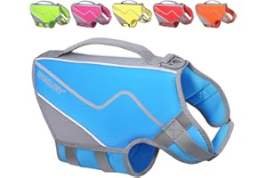VIVAGLORY Life Jacket for Dogs of Sports Style, Water Vest Jacket for Dog, Heavy Duty Pet Safety Vest, Comfortable Neoprene Lifejackets with Hook & Loop Closure, Blue, Small