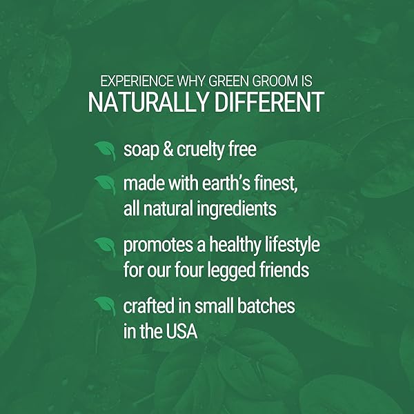GREEN GROOM GREEN CLEAN DOG SHAMPOO, 1 GALLON – PLANT BASED INGREDIENTS, 50:1 CONCENTRATED, MOISTURIZES DRY ITCHY SENSITIVE SKIN, ANTIOXIDANT RICH, PROFESSIONAL GRADE