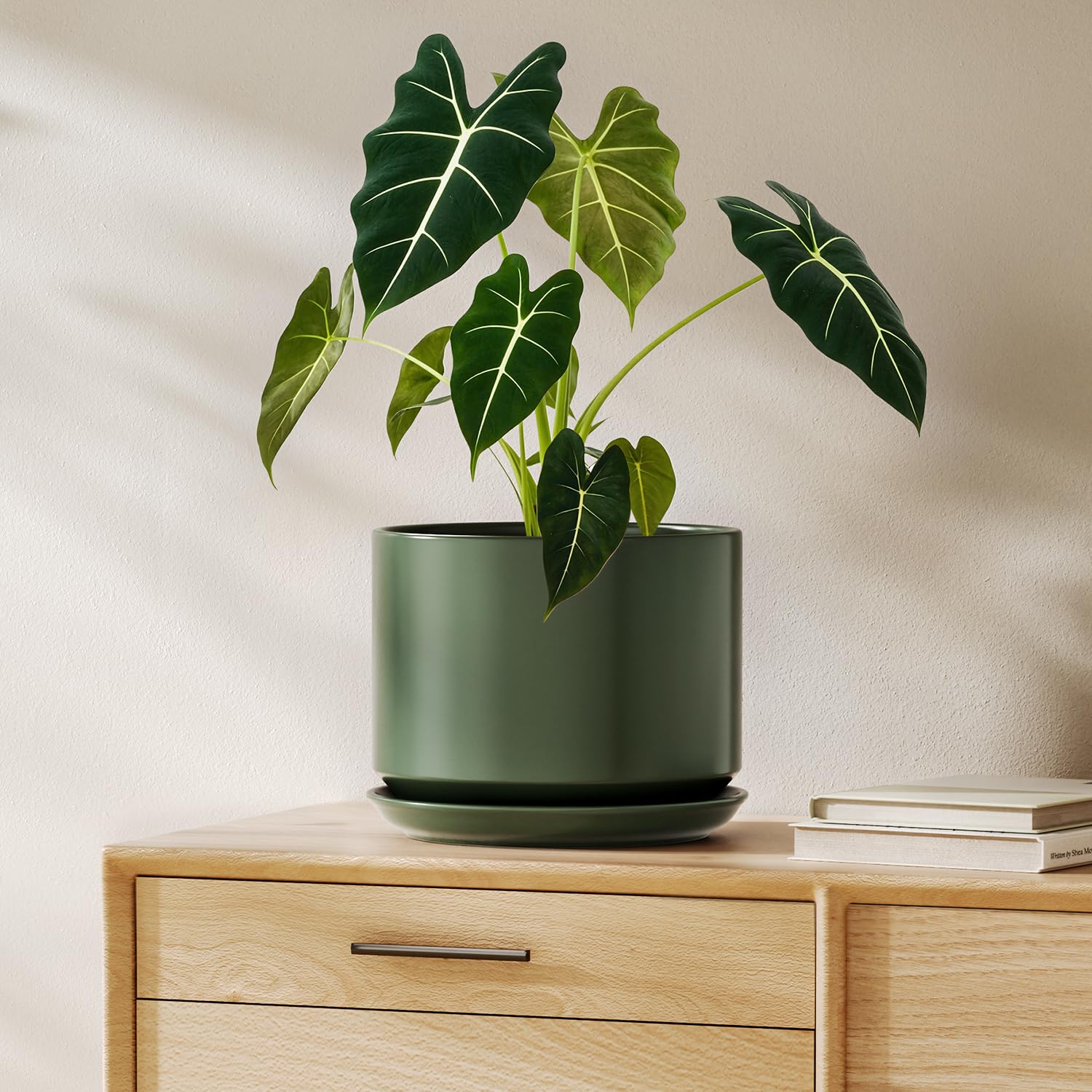 Photo 1 of LE TAUCI Ceramic Pots for Plants, 8 Inch Plant Pot with Drainage Hole & Saucer, Modern Planters for Indoor Plants, Round Flower Pot for Snake Plant, Monstera, Perfect for Home Decor, Forest Green