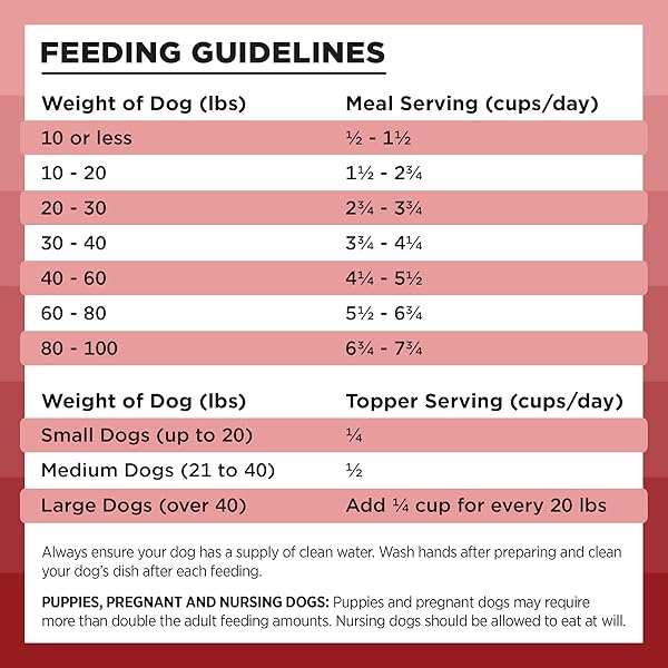 BIXBI LIBERTY FREEZE-DRIED DOG FOOD TOPPER & TREATS, BEEF – 98% MEAT & ORGANS, NO REFRIGERATION – USA MADE, 12 OZ