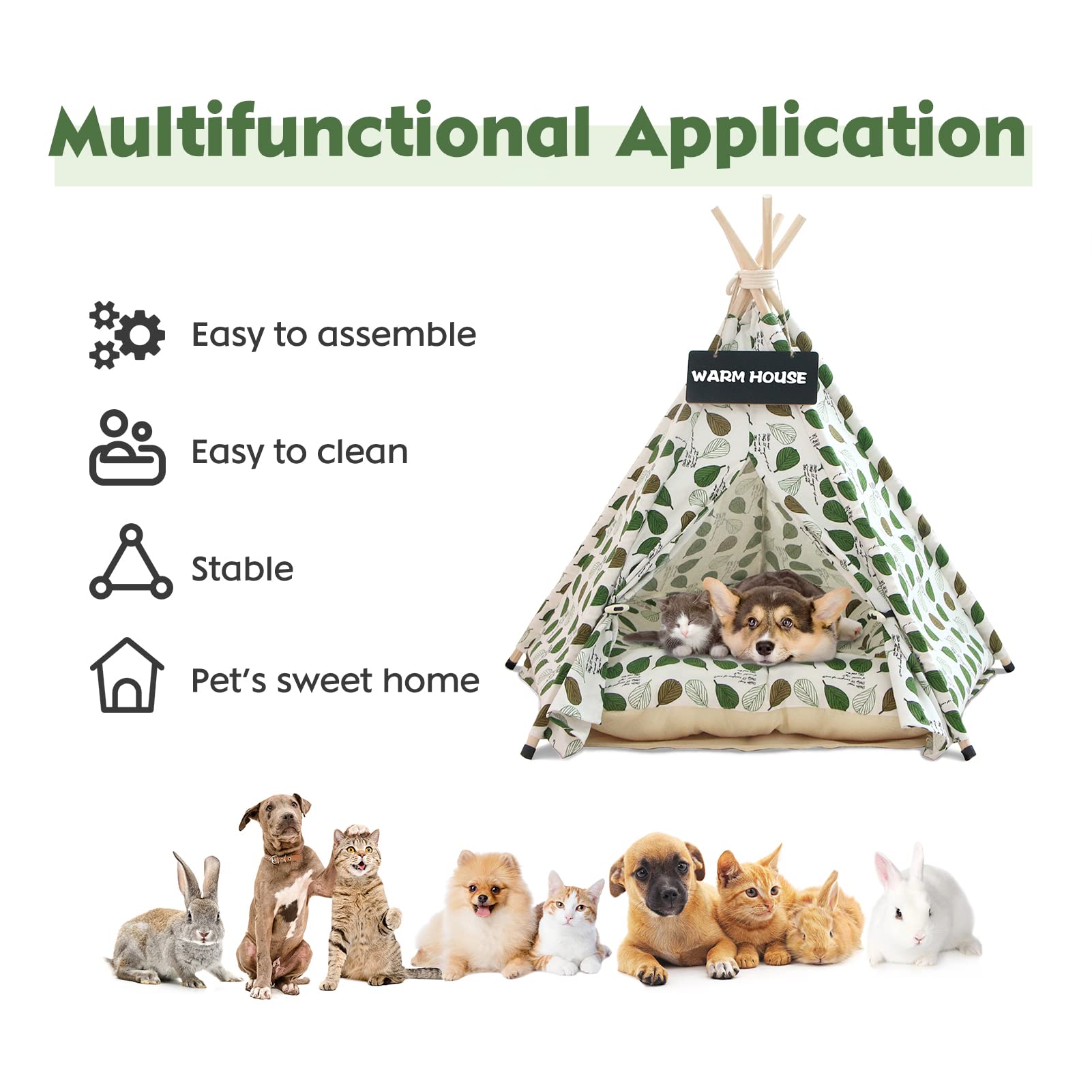 View 4
