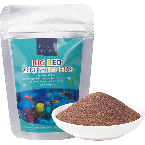 Amazon.com: Brine Shrimp Hatchery Dish (Eggs sold separately