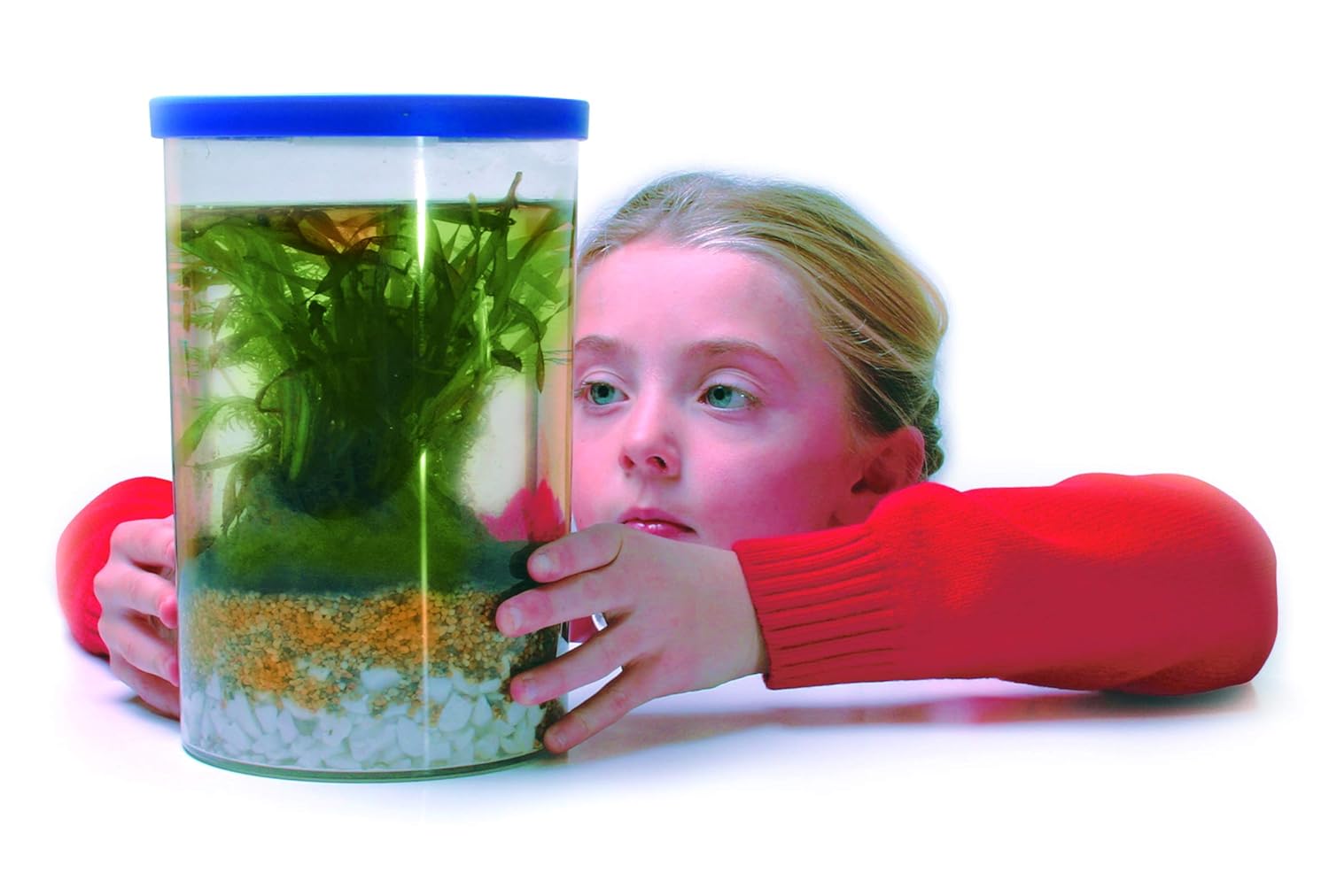 Invicta Education Underwater Explorer - Image 3