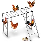 SEEKNEW Metal Chicken Perch with Swing &amp; Ladder for Coops or Runs, Gray | Rustproof Roosting Bars, Chicken Coop Accessories for Outdoor Chicken Playground &amp; Jungle Gym to Keep Flock Happy and Active