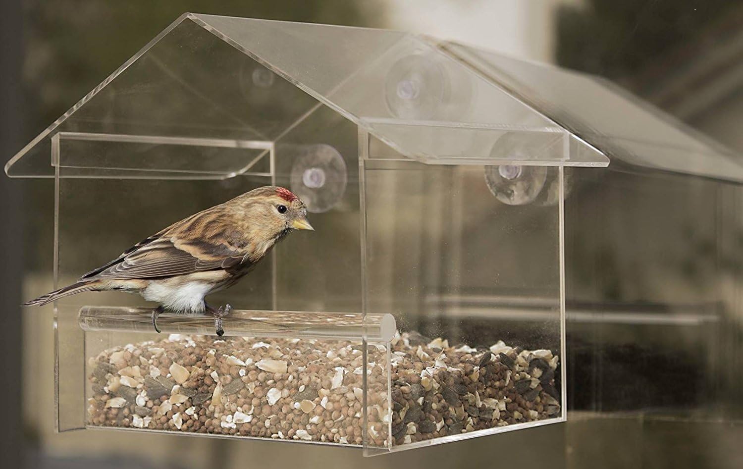 Amazon Com 1 Rate Birdhouse Cy Craft Acrylic Window Bird