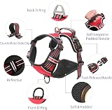 HEELE Dog Harness No-Pull Adjustable Reflective Oxford XL Red view 3