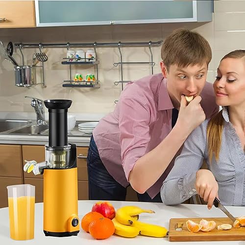 Masticating Juicer, Small Slow Juicer Cold Press Juicer machine