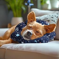 ComSaf Soft Dog Recovery Collar, Protective