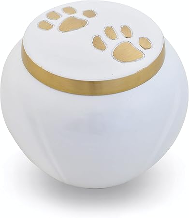 dog urns for ashes amazon