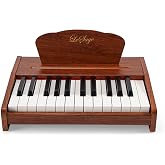 LeSage Piano Keyboard, 25 Keys Portable Piano | Music Educational Instrument, Wooden Frame,Volume Control, Gift-Ready