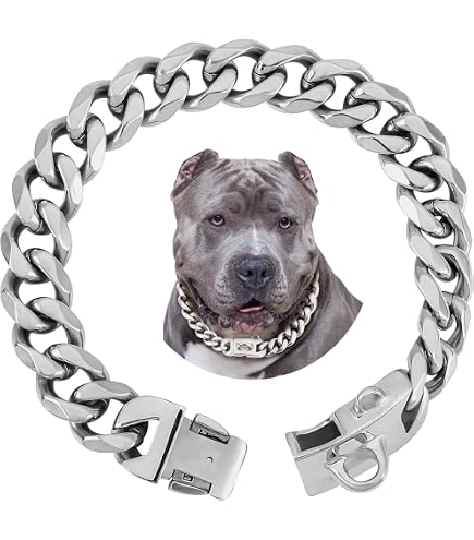 Amazon.com : BAOBOTE Gold Chain Dog Collar with Secure Snap Buckle