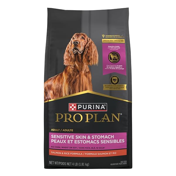 PURINA PRO PLAN SENSITIVE SKIN AND STOMACH DOG FOOD DRY, ADULT SALMON & RICE FORMULA, DIGESTIVE HEALTH – 4 LB. BAG
