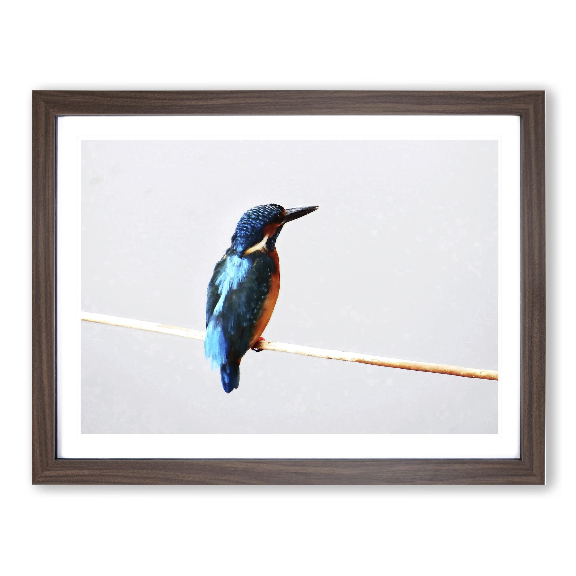 Kingfisher 2 Modern Framed Wall Art Print, Ready to Hang Picture for Living Room Bedroom Home Office Décor, Walnut A4 (34 x 25 cm)