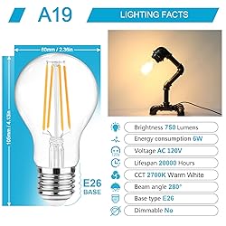 Ascher 60 Watt Equivalent, E26 LED Filament Light