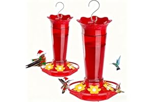 Gbekery 10 OZ Glass Hummingbird Feeders for Outdoors Hanging - Red 2 Pack, Ant & Bee Proof and 6 Feeding Ports, Garden Yard Décor Gifts for Mom