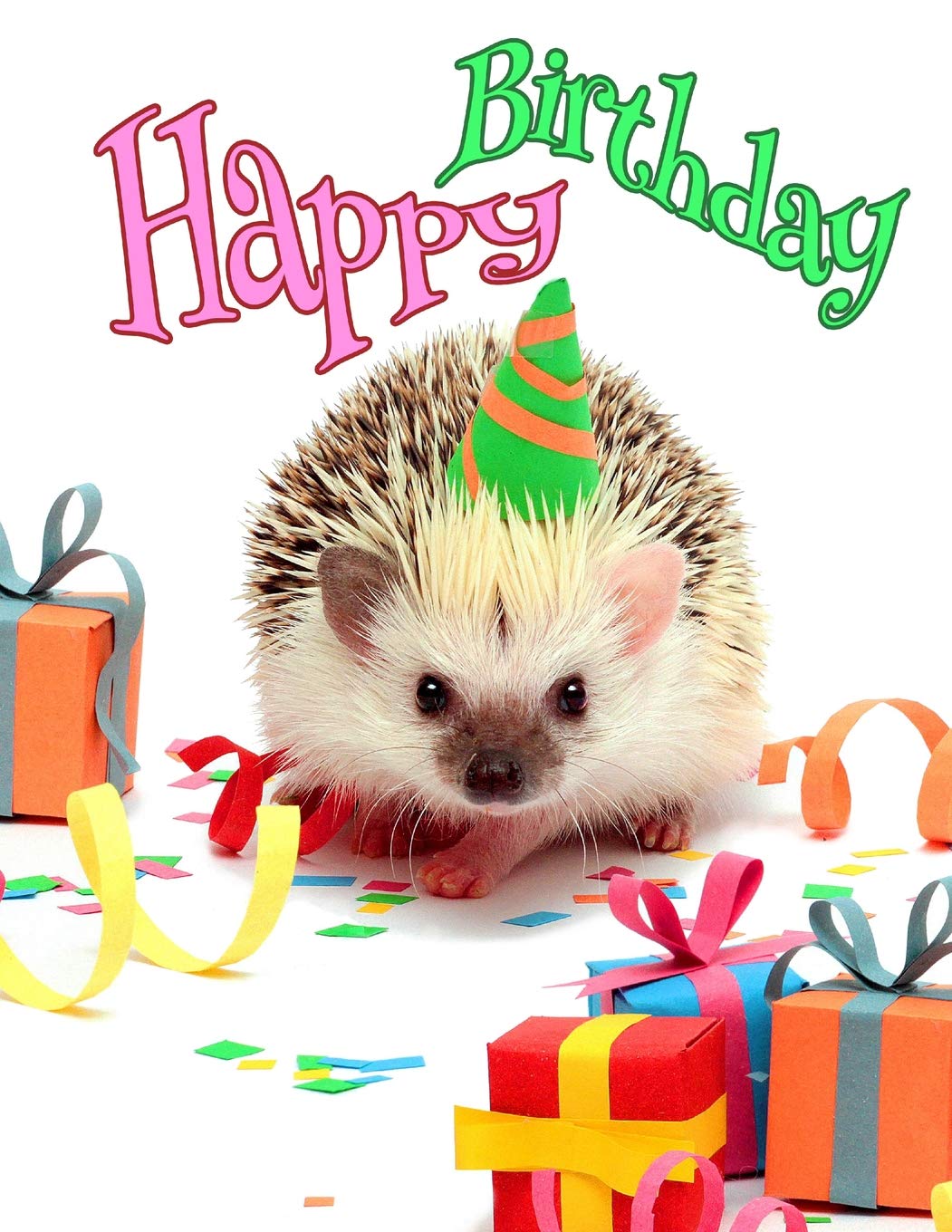 Cute Hedgehog Birthday Party Themed 
