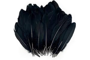 BLESKY 120PCS Black Feathers for Crafts 6-8 Inch Natural Goose Feathers for Halloween Party Home DIY Decorations Cosplay Gothic Costumes Accessories