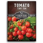 Tiny Tim Tomato Seeds - Survival Garden Seeds (1 Pack) | Dwarf Cherry Tomatoes for Planting Indoors or Patio, Compact Heirloom Variety for Containers, High Yield, Non-GMO