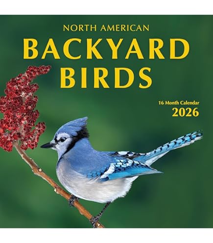 2026 鳥のカレンダー  Siegel Amazon.com: 2026 Calendar of Extremely Accurate Birds by Tommy