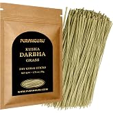Natural Kusha Darbha Grass | 7" | 50g | Natural Dharbai Halfa Korai Sticks | Ketu Puja Havan Samidha Firewood Samithu | Grass Incense Smudging Cleansing Purification Aid