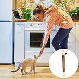 olyee Silvervine Cat Chew Sticks Kitten Toys Dental Health Natural view 7