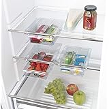 Rotho Loft Kühlschrank Organizer, Kunststoff (SAN), transparent, Gr. M