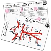 Rapid ID - Stroke Syndromes/Circle of Willis