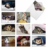 The Best Card Company - 10 Adorable Blank Cat Cards (4 x 5.12 Inch) - Cute Pet Kittens, Assorted Bulk Notecard Set - Cat You See Me Now M1543BN