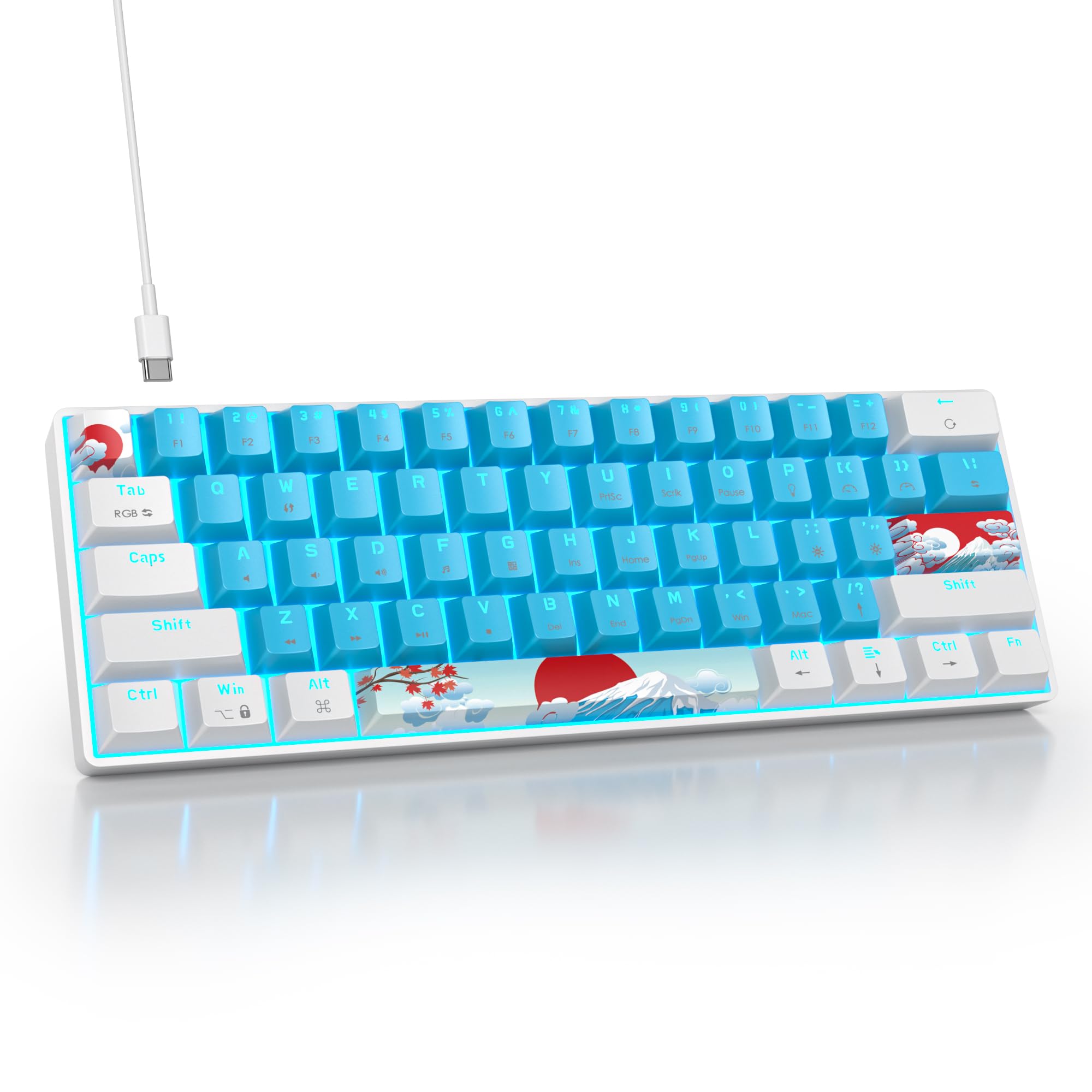 Ussixchare 60 Percent Gaming Keyboard Portable 61 Keys Mechanical Keyboard Compact Wired Keyboard RGB Backlit for PC Laptop Gamer(61 Blue/Blue Switch)
