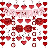 21Pcs Valentines Day Decorations Set Pre-Assembled Hanging Heart Swirls BE Mine Love Heart XO Garlands Banner for Home Classr