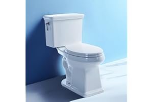 ROYAL BATH 17" ADA Comfort Height Toilets With Soft Close, 14" Wide Bowl Two Piece Toilets for Bathrooms Tall Height, 1.28 GPF Single Power Flush Toilet with Jet Flush, Nano Self Cleaning Toilet, 12" Rough In
