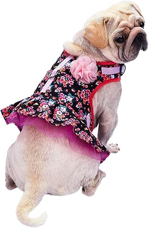 small dog harness dress