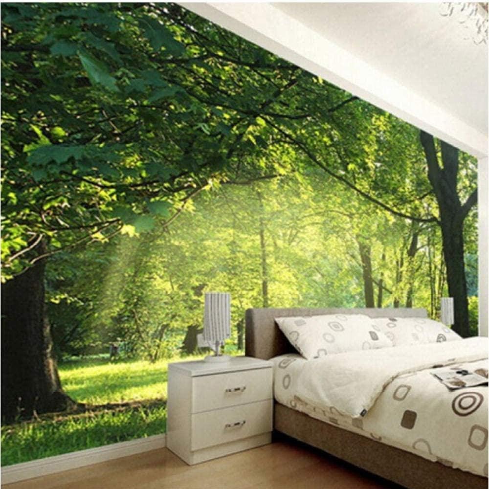Amazon Bosakp カスタム写真壁紙3d自然風景壁の装飾リビングルームの寝室の壁紙壁壁画ウォールペーパー家の装飾壁画 100x50cm 壁紙