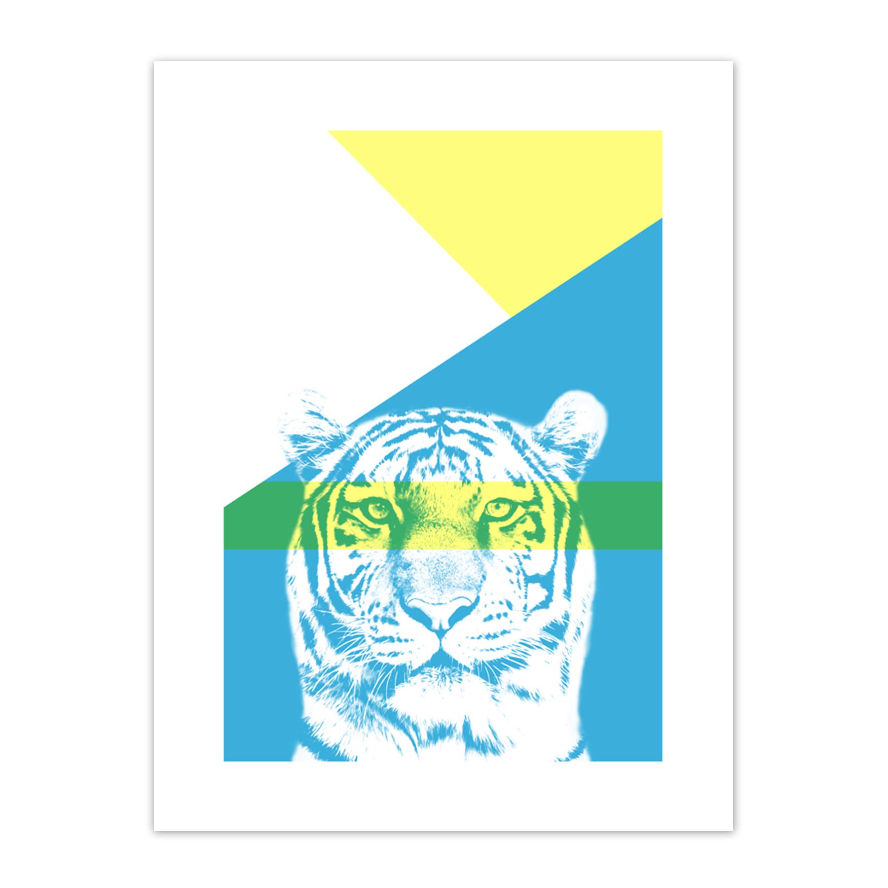 Wee Blue Coo Bold Animals Blue Tiger Art Print Canvas Premium Wall Decor Poster