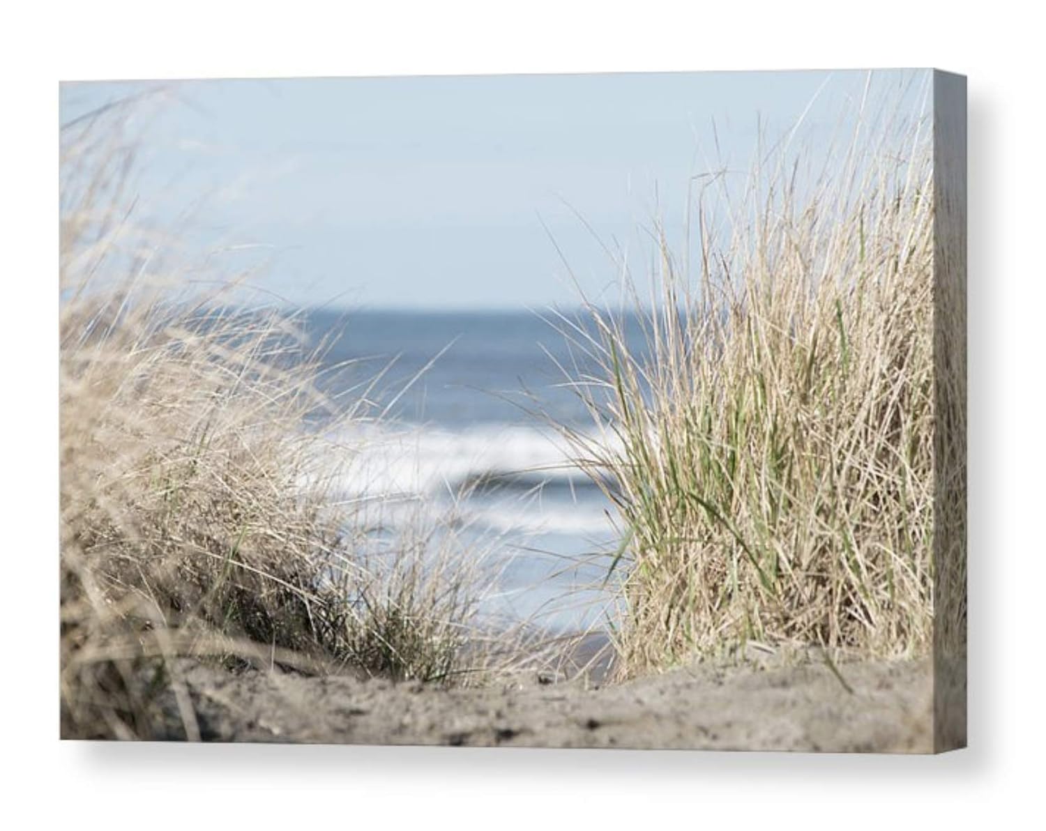 Pacific Coast Picture on CANVAS Beach Grass Coastal Wall