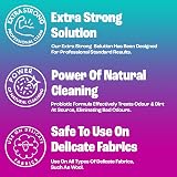 Dirtbusters Pet Pro Stain & Odour Remover Spray 500ml Wild Fig view 2