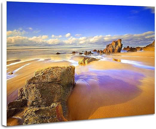 Cu Rong Plage Sable Illustrations Des Impressions Sur Planche De