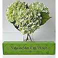 YalzoneMet RUZUQE Light Green Hydrangea Artificial Flowers, 3 Pcs Lifelike Real Touch Hydrangea Fake Flowers, 21 inch Latex Faux Hydrangeas for Home Wedding Decor Flower Arrangement
