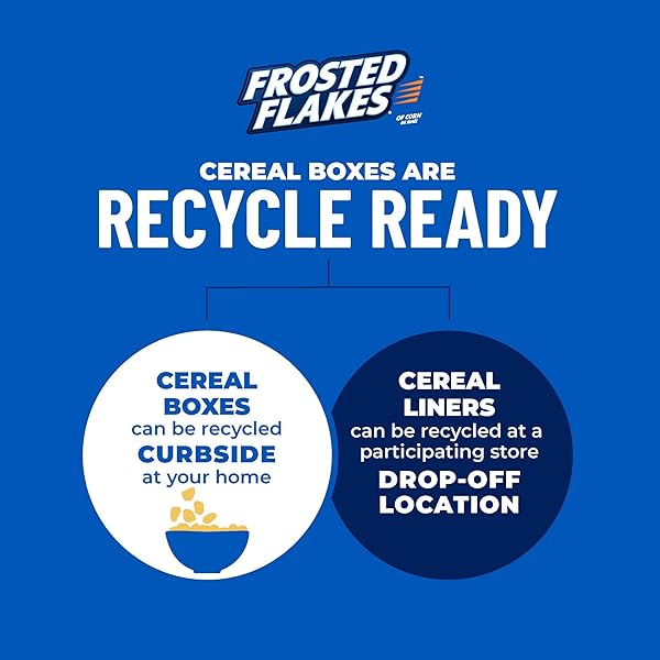 FROSTED FLAKES BREAKFAST CEREAL, 8 VITAMINS AND MINERALS, KIDS SNACKS, LARGE SIZE, ORIGINAL, 17.3OZ BOX (1 BOX)