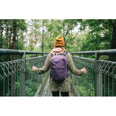 pacsafe venturesafe x12 backpack