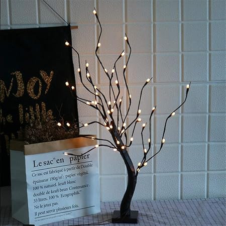 conejo lindo mascotas