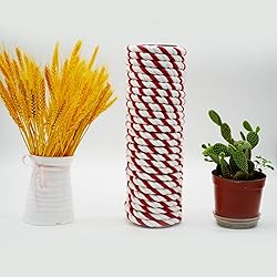 3 Strand Natural Twisted Cotton Rope