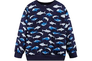 NUBEEHOHO Boys Cotton Sweatshirts Crewneck Long Sleeve Pullover Toddler Winter Warm Sweater Tops 2-7T