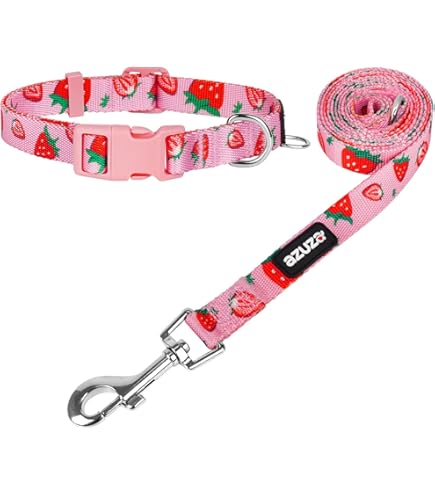 Amazon.com : azuza Dog Collar and Leash Set, Cute Strawberry