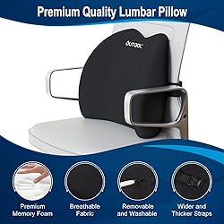 QUTOOL Lumbar Support Pillow for Office