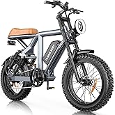 Hikeep Electric Bike for Adults - 20 x 4 Inch Fat Tire, 750W/Peak 1500W Motor, 28MPH 48V15.6AH Detachable Battery, 4 Riding M