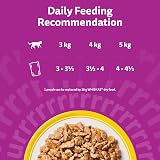 Whiskas Senior 11+ Poultry Feasts Wet Cat Food Pouches 12 x 85g Jelly view 9